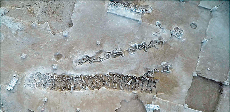 cid:hS1aZWQnC7CDGEOGeTnS