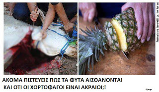 http://1.bp.blogspot.com/-9j_piu9MeGE/UhftPElQnBI/AAAAAAAAANE/fabddbTQJDQ/s320/998932_10151788648150380_780368176_n.jpg